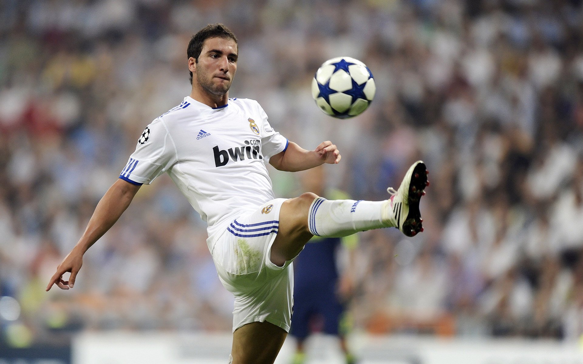 开云官网-拜仁锋线新星持续高光，未来潜力爆棚，拜仁巅峰